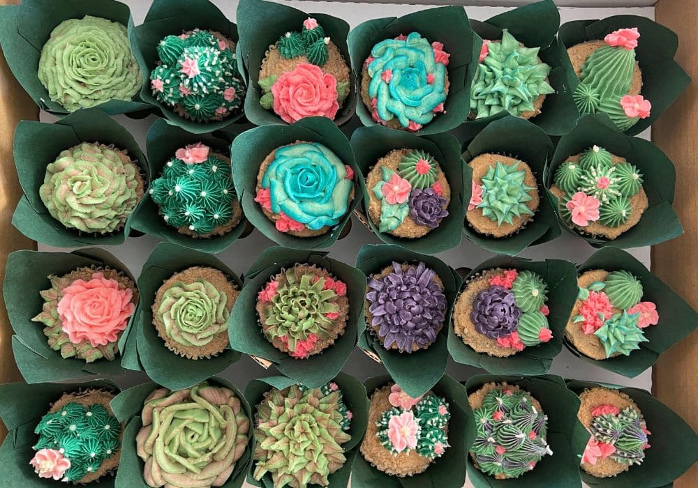 A box of cupcakes piped to look like succulents and cacti